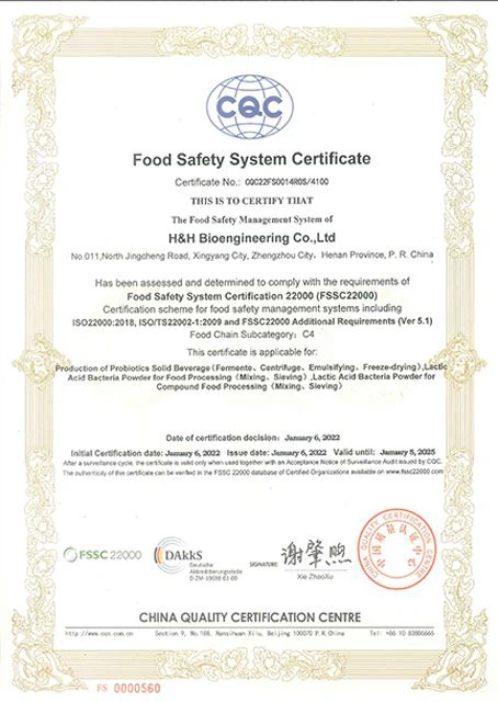 ISO9001