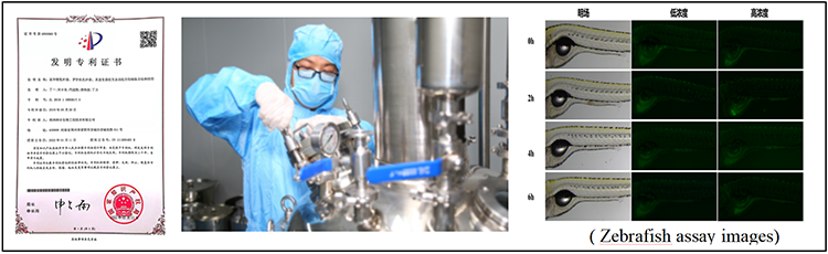 Core technology Patent strain Core technology Patent strain